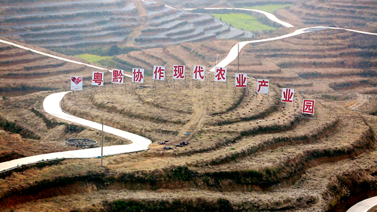 （供稿）貴州平塘：繪就農業現代化“春耕圖”_fororder_塘邊鎮紮營坡精品水果數字化産業示範基地