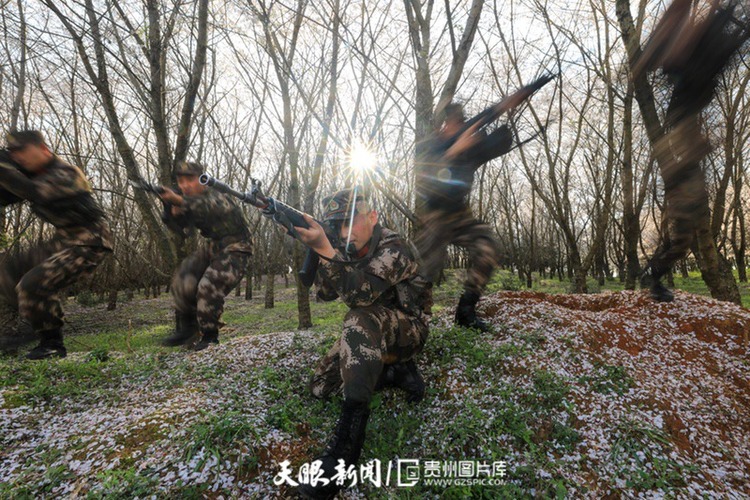 最美軍營 武警戰士萬畝櫻花園裏的“硬核”浪漫