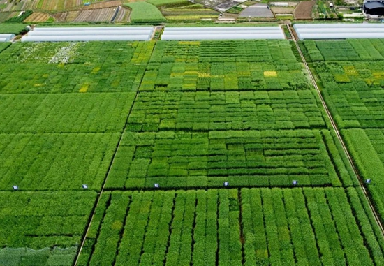 （供稿）貴州思南：調優壩區結構 守住糧食安全_fororder_微信圖片_20220406135635