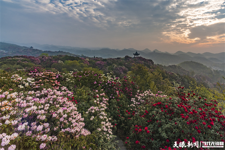 貴州：研學旅行拓寬旅遊發展空間