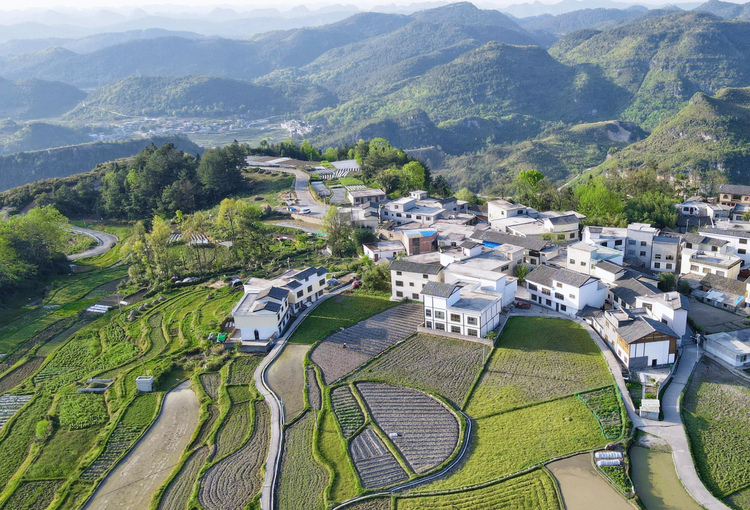 （中首）貴陽花溪石門村：田園間春意盎然