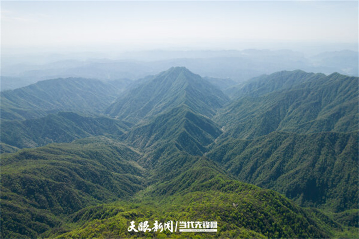 銅仁：梵凈山巔風景獨好