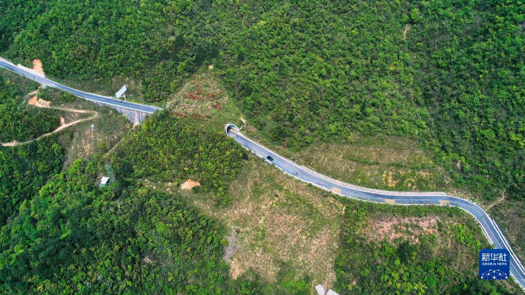 探秘“世界自然遺産”梵凈山生物多樣性