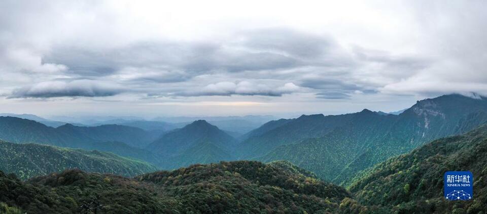 探秘“世界自然遺産”梵凈山生物多樣性