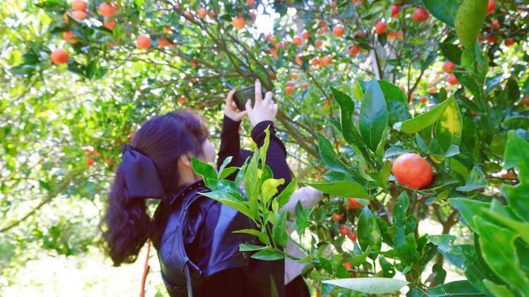 惠水：好花正紅踏歌前行