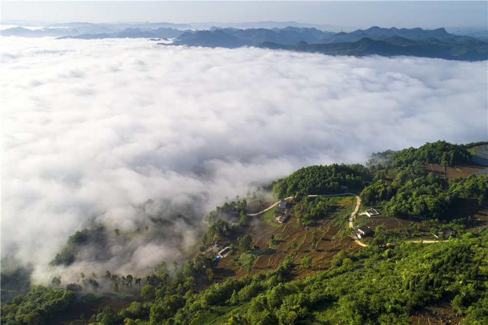 奮進新征程 建功新時代·老區新貌丨“轉折之城”再寫傳奇