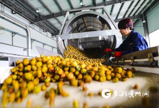 東風吹來滿眼春 潮起正是揚帆時——水城區經濟社會發展綜述