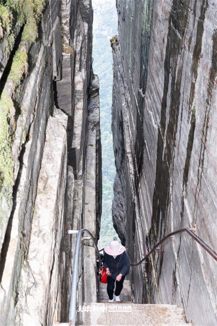 銅仁：梵凈山巔風景獨好