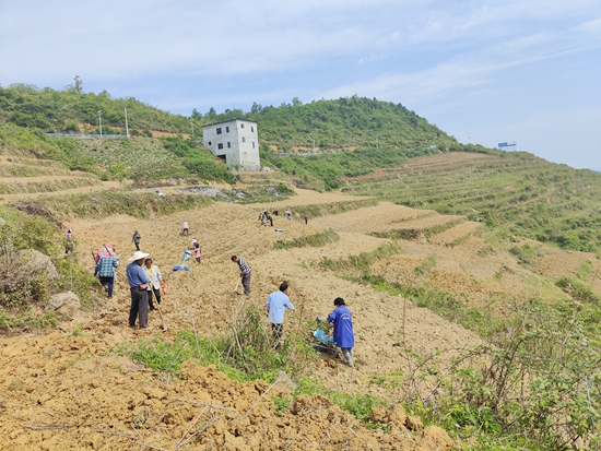 貴州思南：盤活農村閒置土地資源 助農增收_fororder_大河壩鎮復耕地。李超攝_proc