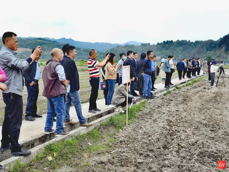 貴州首個水稻無人農場在劍河縣正式投入運營