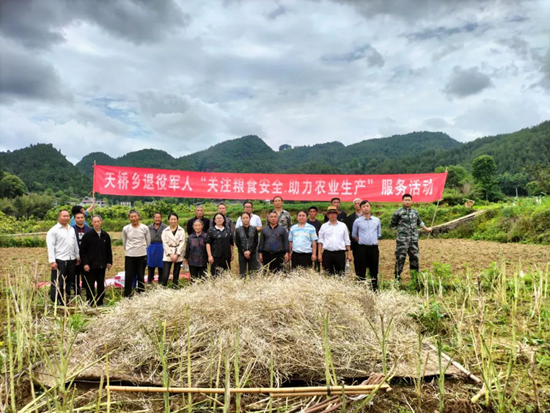 （供稿）貴州思南退役軍人志願者助力農業生産_fororder_幫助群眾收割油菜籽（思南縣退役軍人事務管理局供圖）