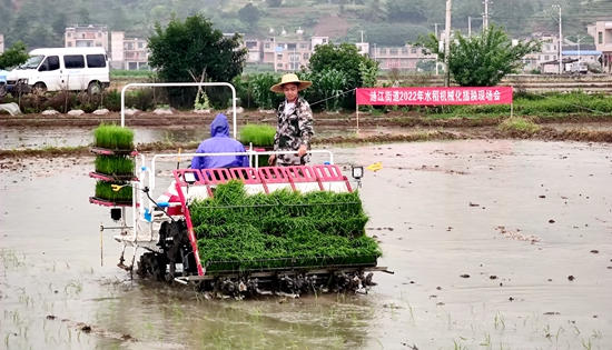 貴州惠水：幹群齊心抓生産  漣江大地農事忙_fororder_惠水2