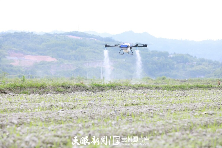 “智慧樹”開花 這組圖帶您走進貴州數字生活