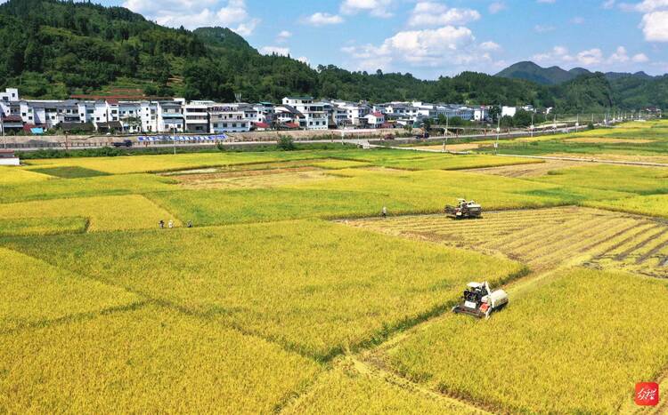 銅仁碧江區奮力在“鄉村振興、穩市場主體、産業大招商”上出新績