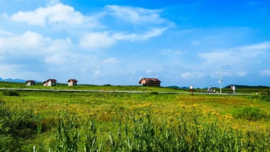 畢節百里杜鵑跳花坡景區：開啟消夏之旅 讓你心有所屬