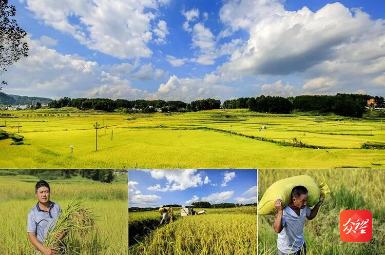 銅仁碧江區奮力在“鄉村振興、穩市場主體、産業大招商”上出新績