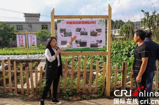 貴州六盤水：千家萬戶小康菜園開啟美麗田園新生活