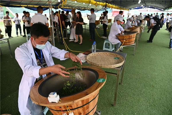 貴州省第十一屆手工制茶技能大賽：弘揚工匠精神 助力鄉村振興