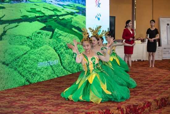 （供稿）2022年綏陽“山水為媒•綏心暢爽”冰雪避暑旅遊季旅遊新聞發佈推介會在貴陽舉辦_fororder_微信圖片_20220719132249