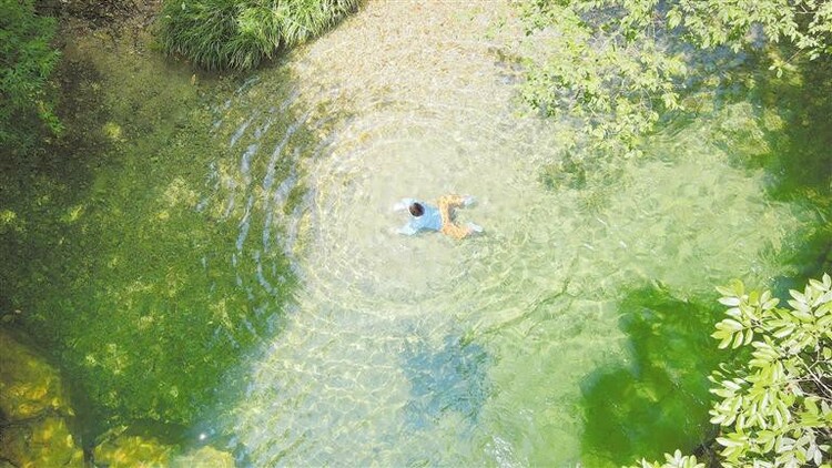 入夏以來，各地持續高溫，避暑旅遊正當時—— 來貴州，向森林要清涼_fororder_3