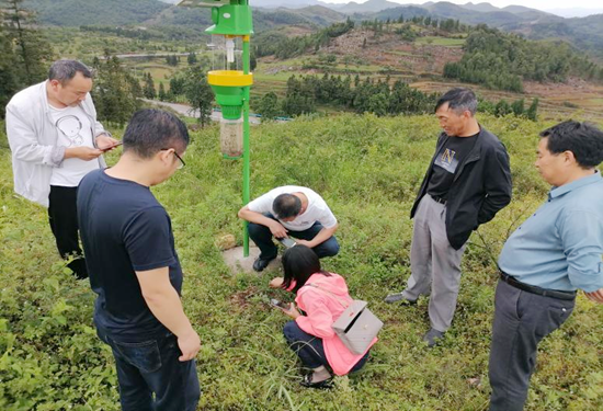 貴州六盤水：“四個到位”持續強化林業 有害生物防治水準_fororder_林業3