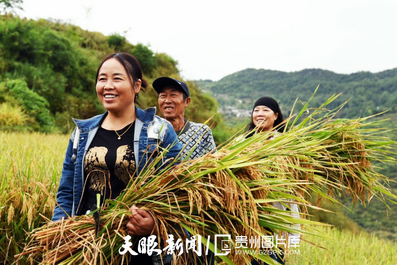 貴州大地五彩“豐”景