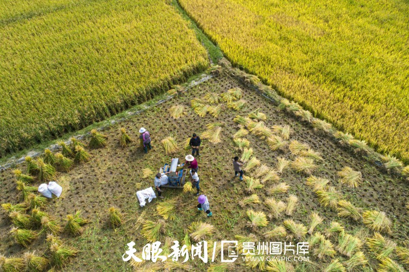 貴州大地五彩“豐”景