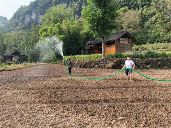 貴州思南：開展秋冬種植 盤活土地資源_fororder_興隆鄉山羊岩村油菜育苗基地人工灑水。興隆鄉供圖