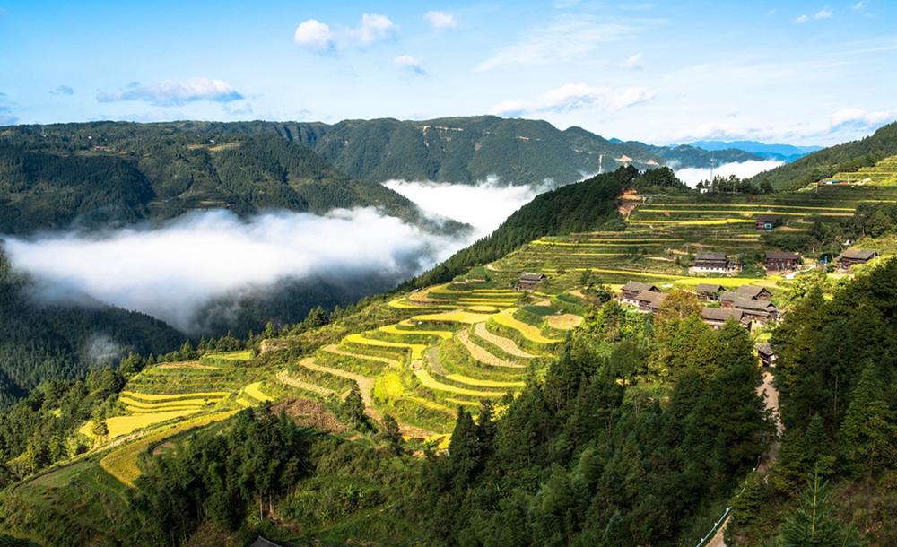 貴州天柱：稻菽千重浪 “豐”景伴騎行_fororder_天柱縣梯田環繞的石洞柳寨。