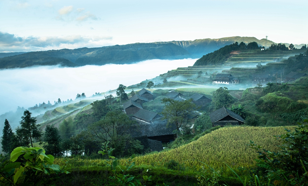 貴州天柱：稻菽千重浪 “豐”景伴騎行_fororder_天柱縣石洞柳寨梯田晨景。