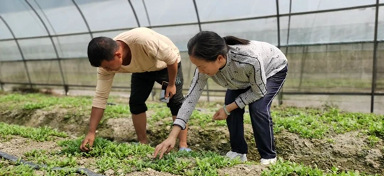 （供稿）貴州碧江：搶種速生蔬菜 保障群眾“菜籃子”_fororder_674a6b1ba7ef7a0619fb00d703e92c5