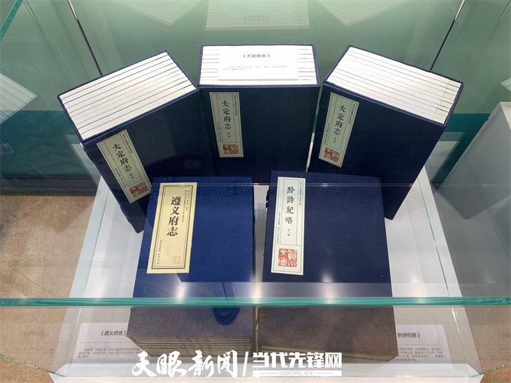 透視大踏步前進的“黃金十年”丨“奮進新時代”主題成就展上的“貴州縮影