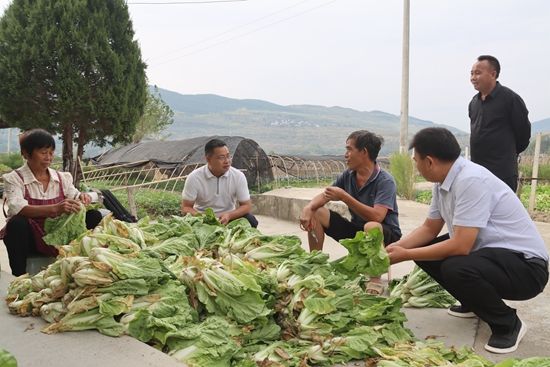 （供稿）貴州思南：發展千畝蔬菜 助農增收致富_fororder_塘頭鎮黨委副書記、鎮長李春天到堅強村調研.JPG