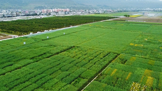 （供稿）貴州思南：生態富民成效顯_fororder_塘頭壩區 肖月攝