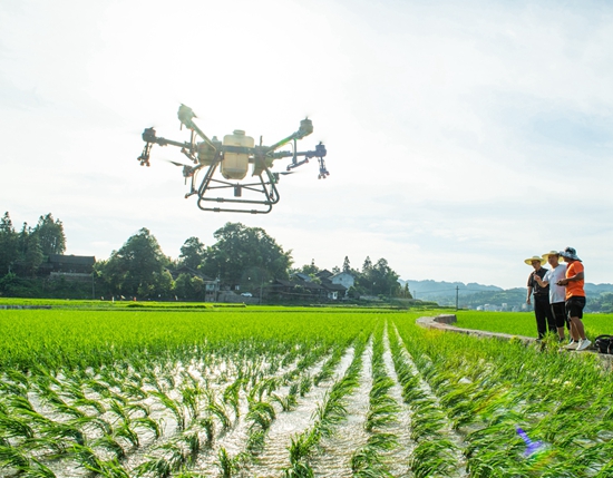 貴州天柱：“機械農業”助力稻米産銷兩旺_fororder_天柱縣高釀鎮上花村，村民在給水稻機防。