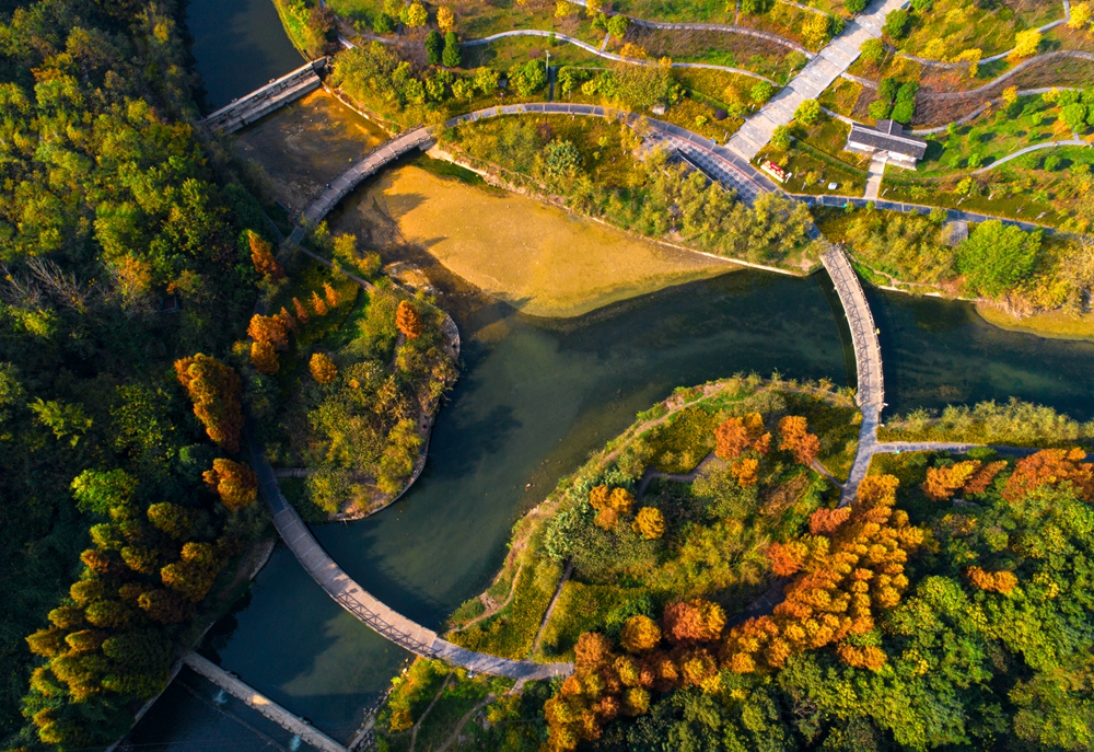 （供稿）貴州黔西：濕地公園美如畫_fororder_2022年11月6日，貴州省黔西市水西濕地公園，新城、濕地、綠地融為一體，景色宜人（無人機照片）。DJI_0065.JPG