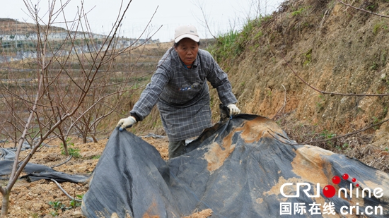 （原創）貴州平塘：種植精品水果 以數字化管理助力鄉村振興_fororder_微信圖片_20221121152040