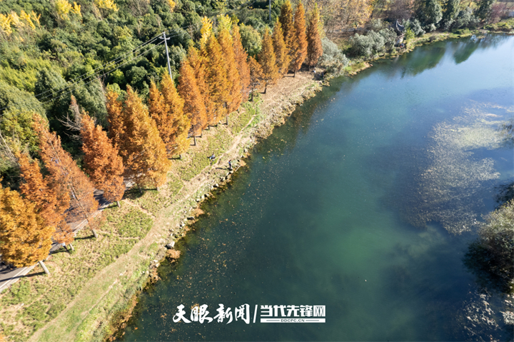 貴陽花溪：十里河灘冬景如畫