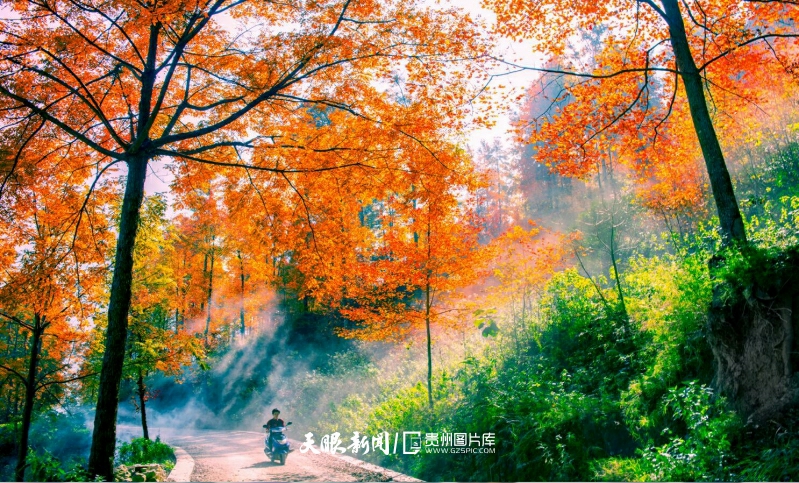 春節遊推薦地｜貴州盤州：生態美景彰顯“盤州顏值”