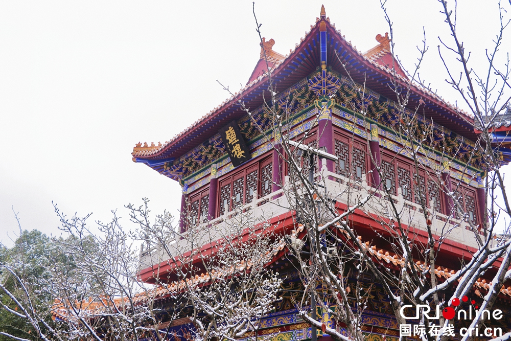 貴州貴陽銀裝素裹 解鎖“雪景模式”_fororder_雪景7