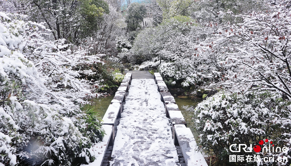 貴州貴陽銀裝素裹 解鎖“雪景模式”_fororder_雪景3