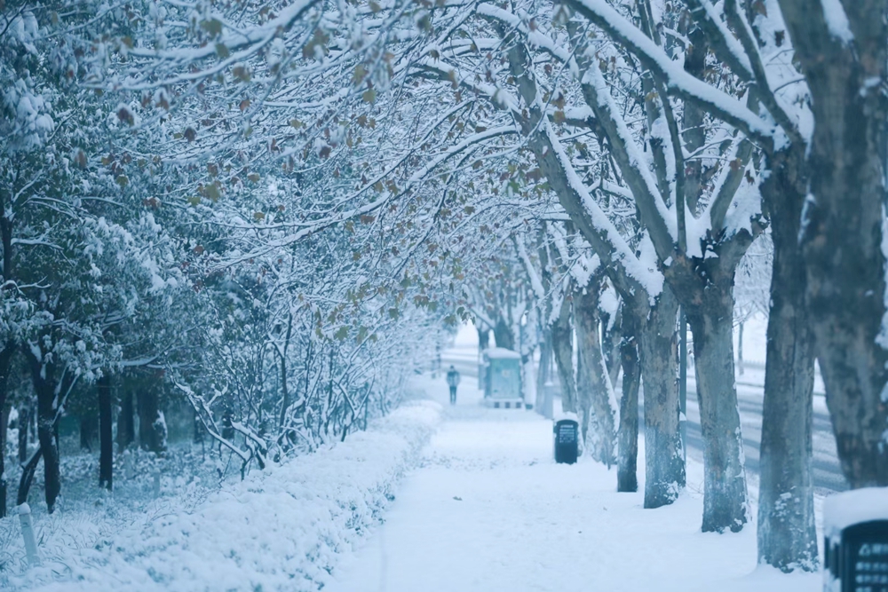 （供稿）貴州多地迎降雪 白色大地景色美_fororder_六盤水1