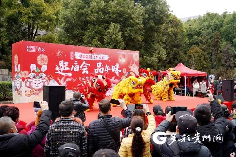 貴陽雲岩區舉行遊園會 花式鬧元宵