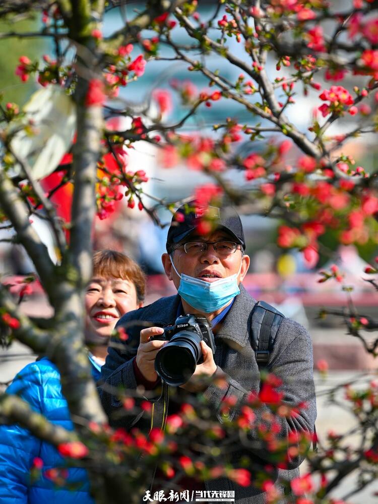 貴陽：莫道春來晚 賞花正當時