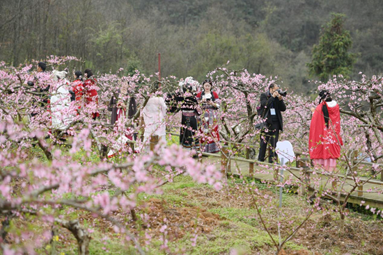 貴州鎮遠古城首屆“花語節”暨鎮遠縣旅遊宣傳招商推介會開幕_fororder_鎮遠2