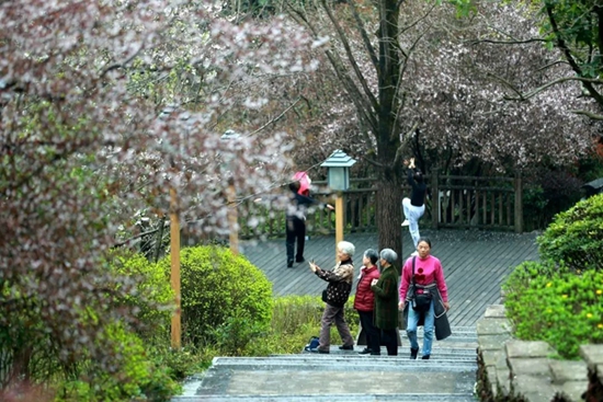 （供稿）春回大地 貴州黔南旅遊市場強勁復蘇_fororder_微信圖片_20230330151410