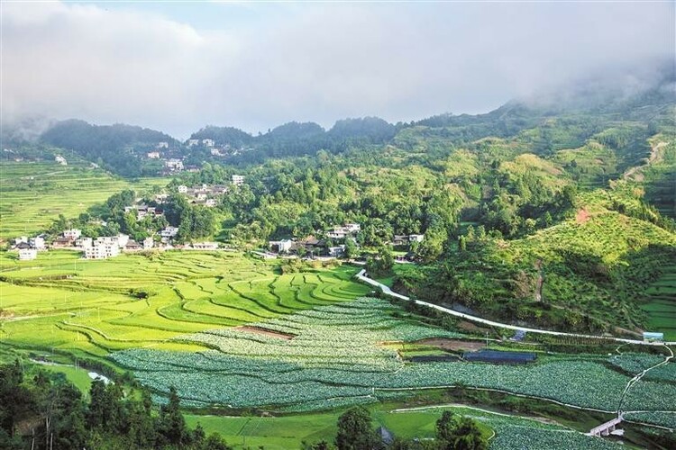 黔東南紮實推進生態文明建設—— 厚植綠色底色 提升生態顏值_fororder_中首3