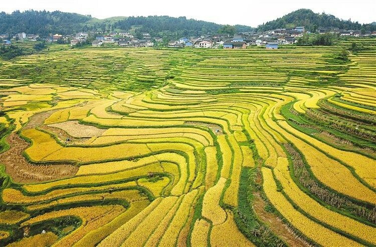 黔東南紮實推進生態文明建設—— 厚植綠色底色 提升生態顏值_fororder_中首2