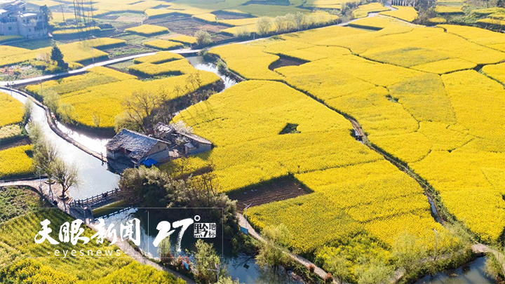 貴州：春風吹暖旅遊業 春遊帶火“花經濟”