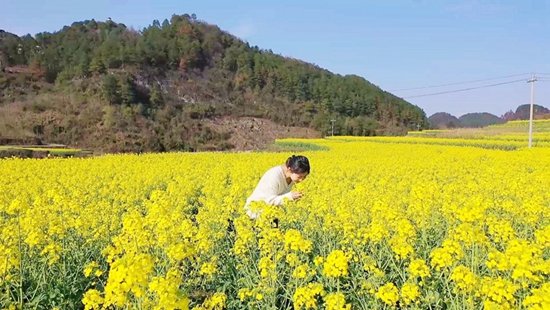 貴州甕安：17.44萬畝油菜花美不勝收_fororder_2